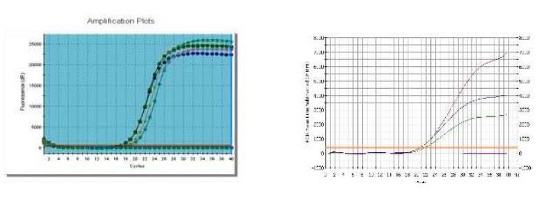 ʵӫⶨPCR